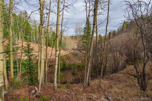 130 Grey Eagle Way