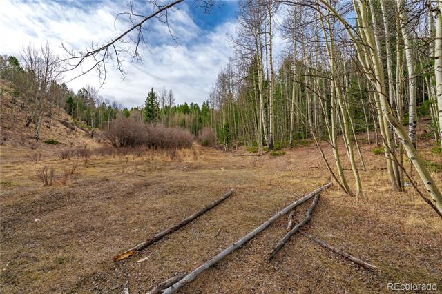 130 Grey Eagle Way