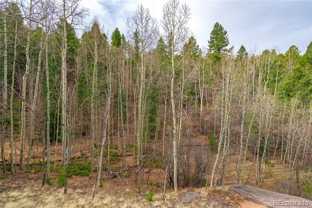 130 Grey Eagle Way