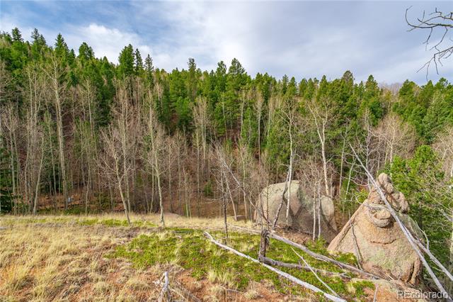 130 Grey Eagle Way