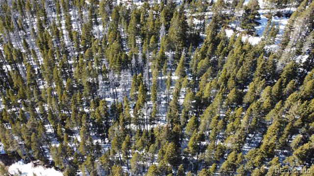 Lot 817 Harris Circle