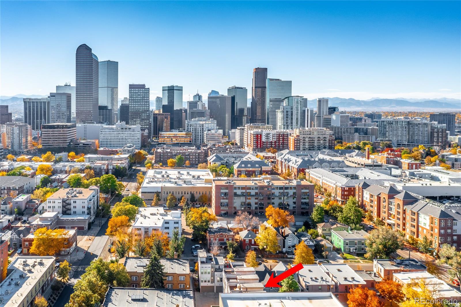 1818 Clarkson Street Unit: 105