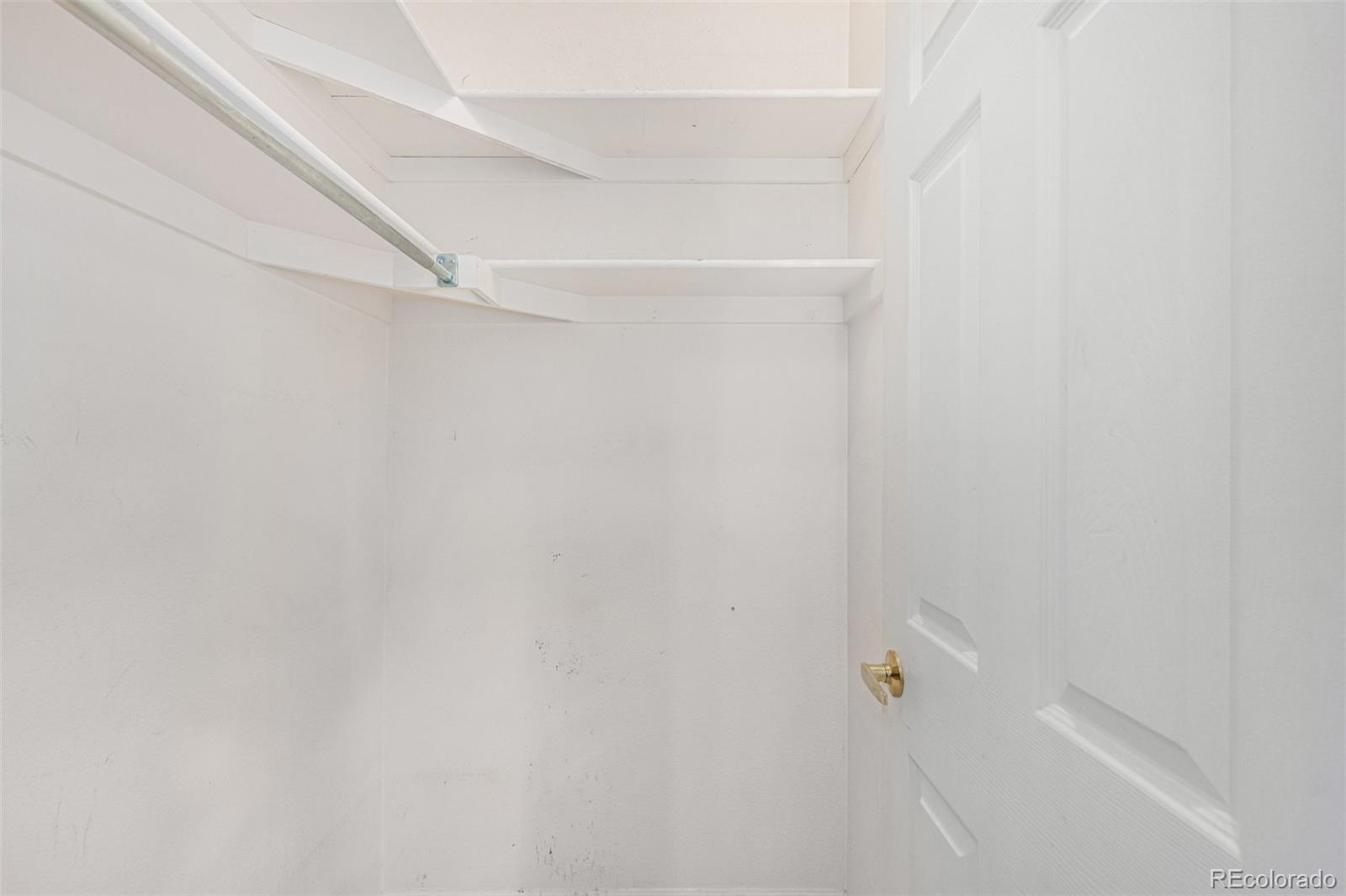 11101 Park Vista Drive