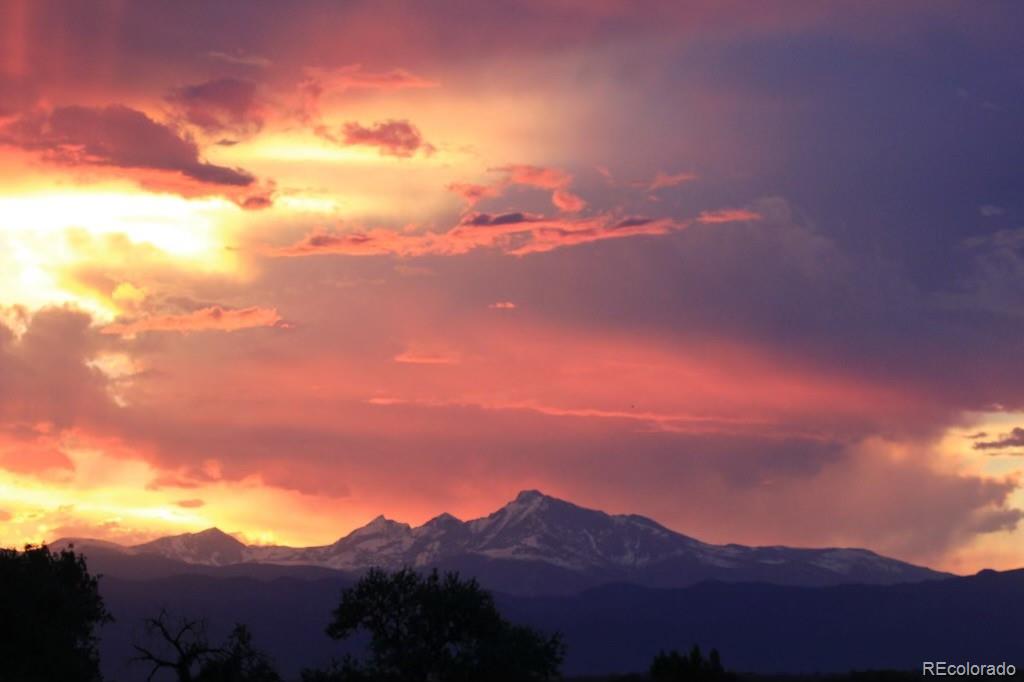 11101 Park Vista Drive