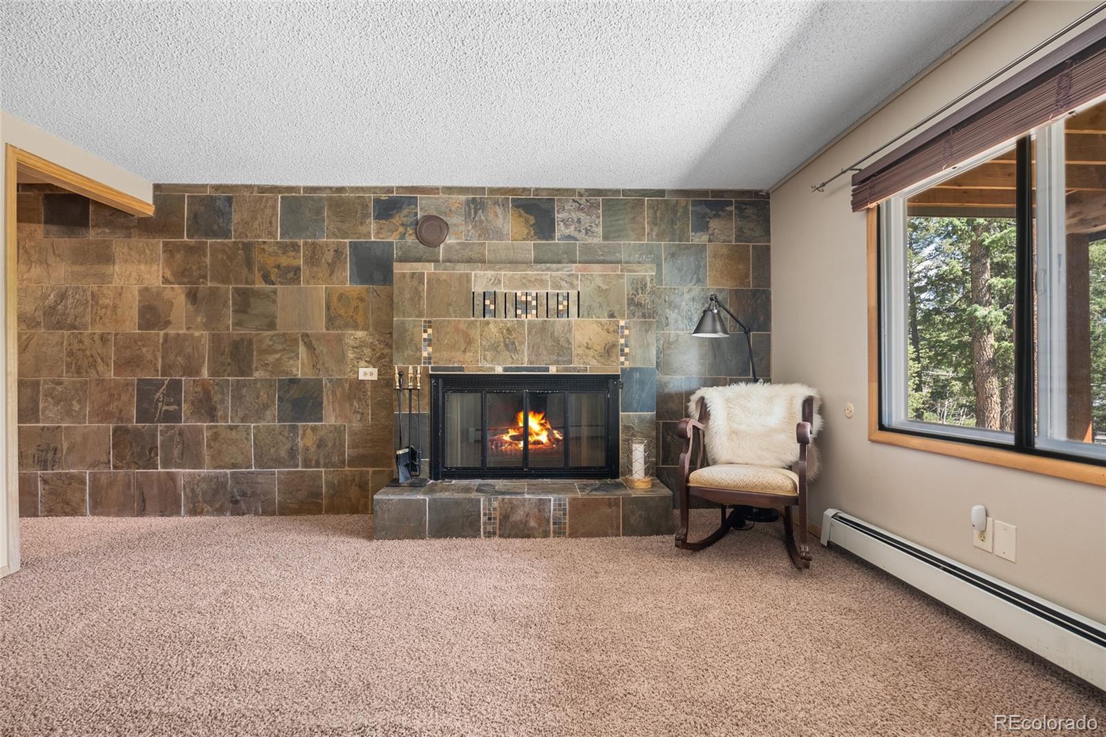 30915 Walter Drive