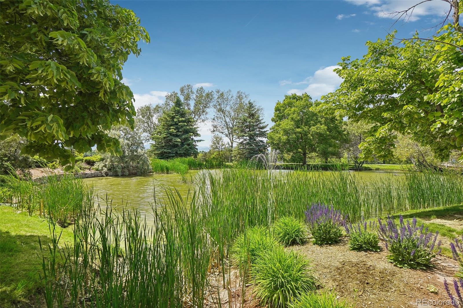 6412 Silver Mesa Drive Unit: B