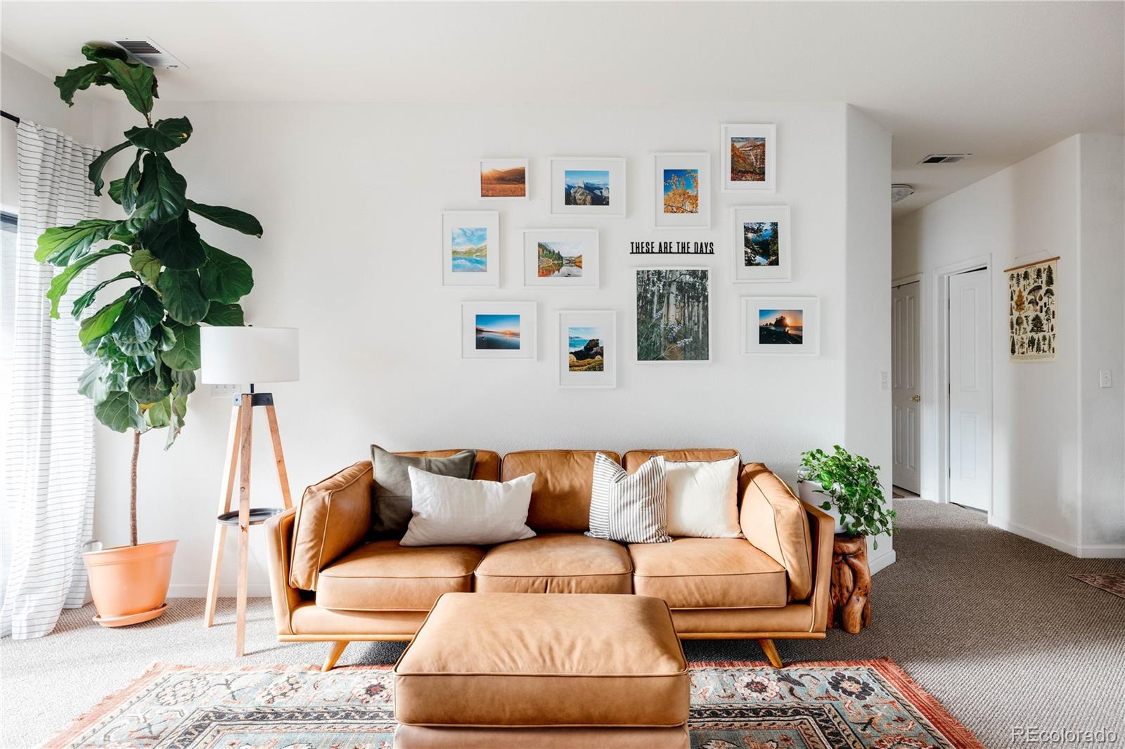 7428 S Alkire Street Unit: 205