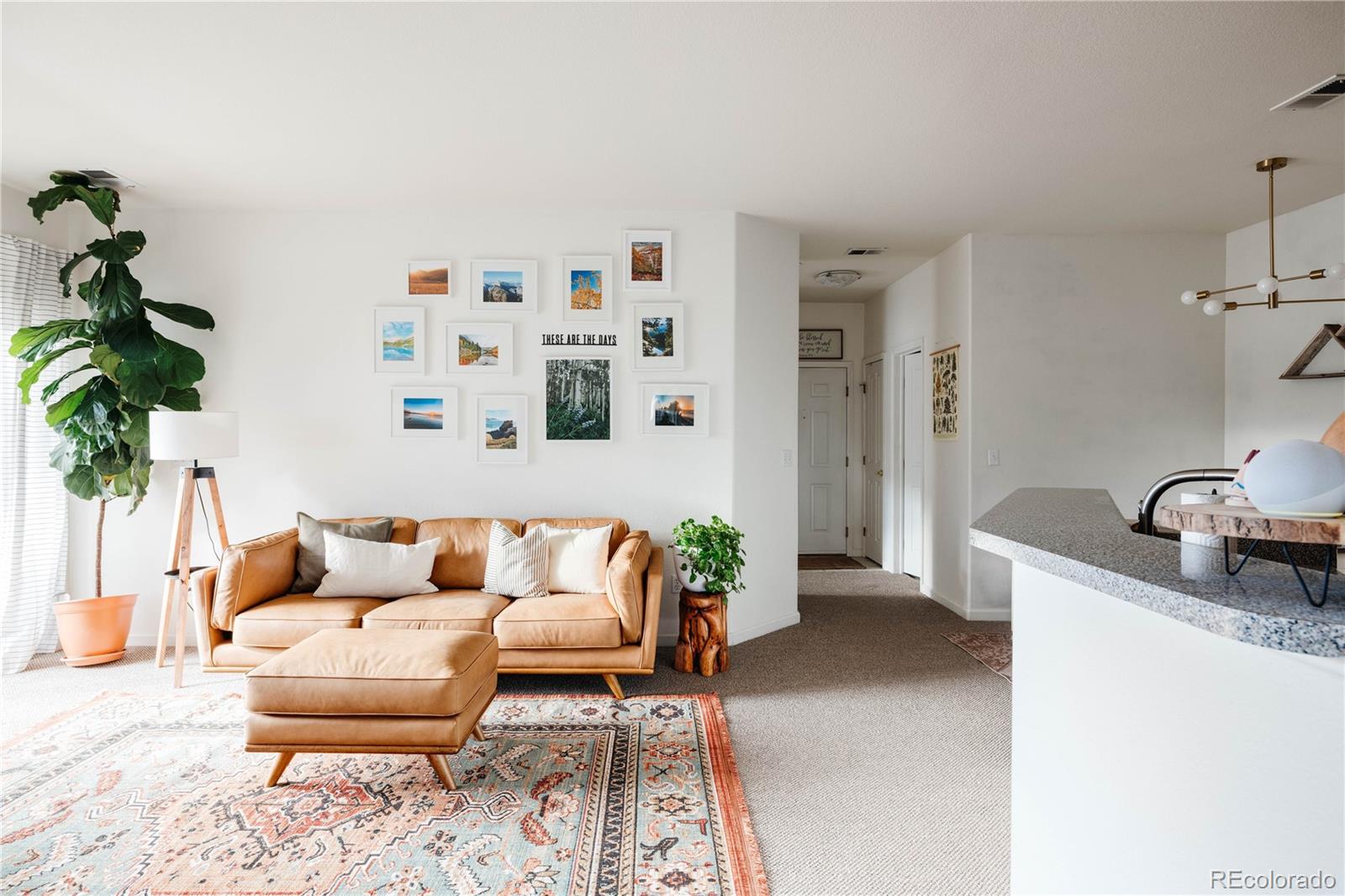 7428 S Alkire Street Unit: 205