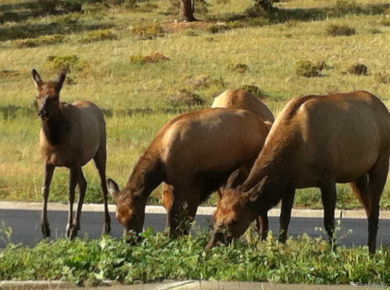 24130 Genesee Village Road