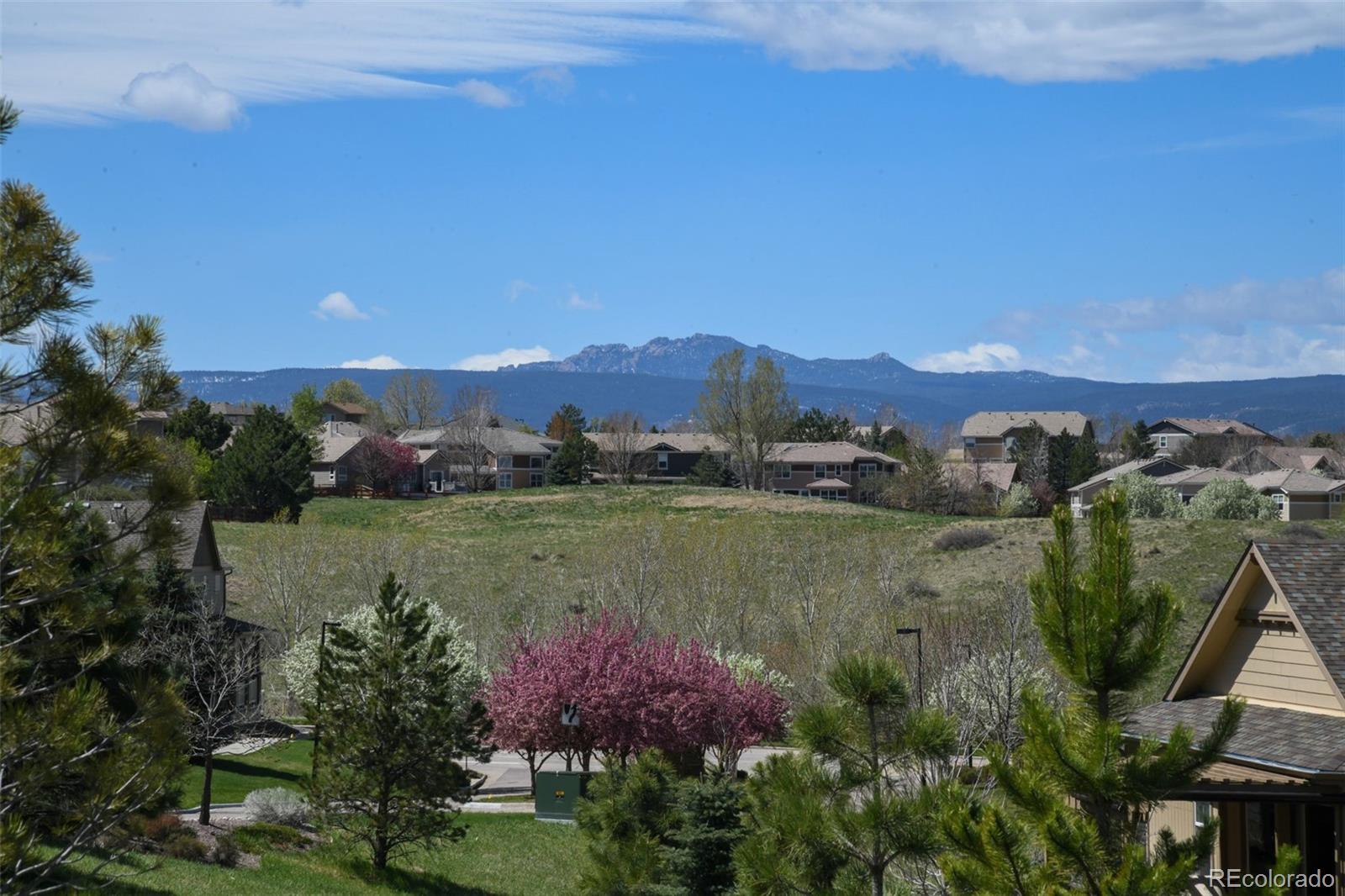 4007 Tangerine Court