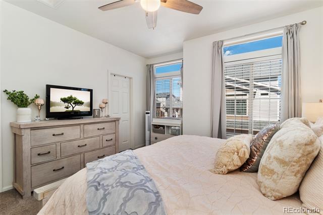 10136 Yampa Court