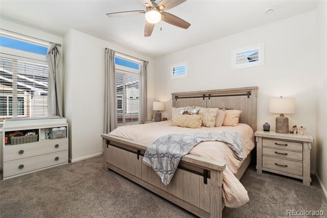 10136 Yampa Court