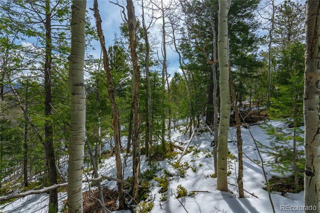224 Deadwood Road