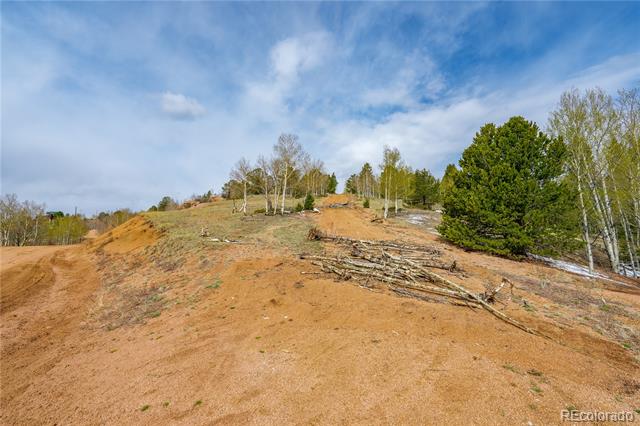 224 Deadwood Road