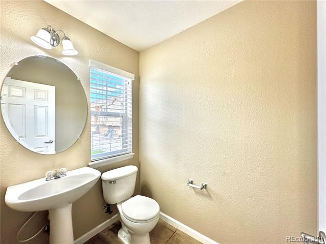3836 Ute Mountain Trail