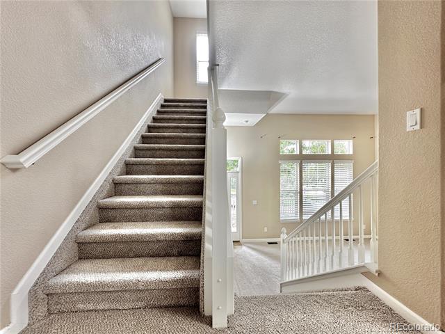 3836 Ute Mountain Trail