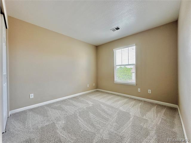 3836 Ute Mountain Trail