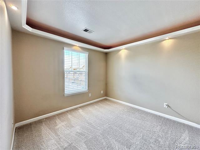 3836 Ute Mountain Trail