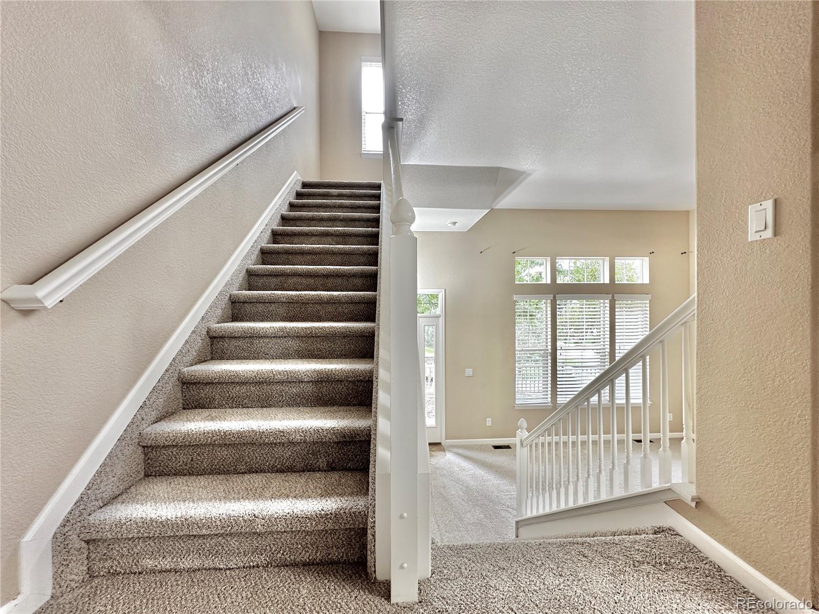3836 Ute Mountain Trail
