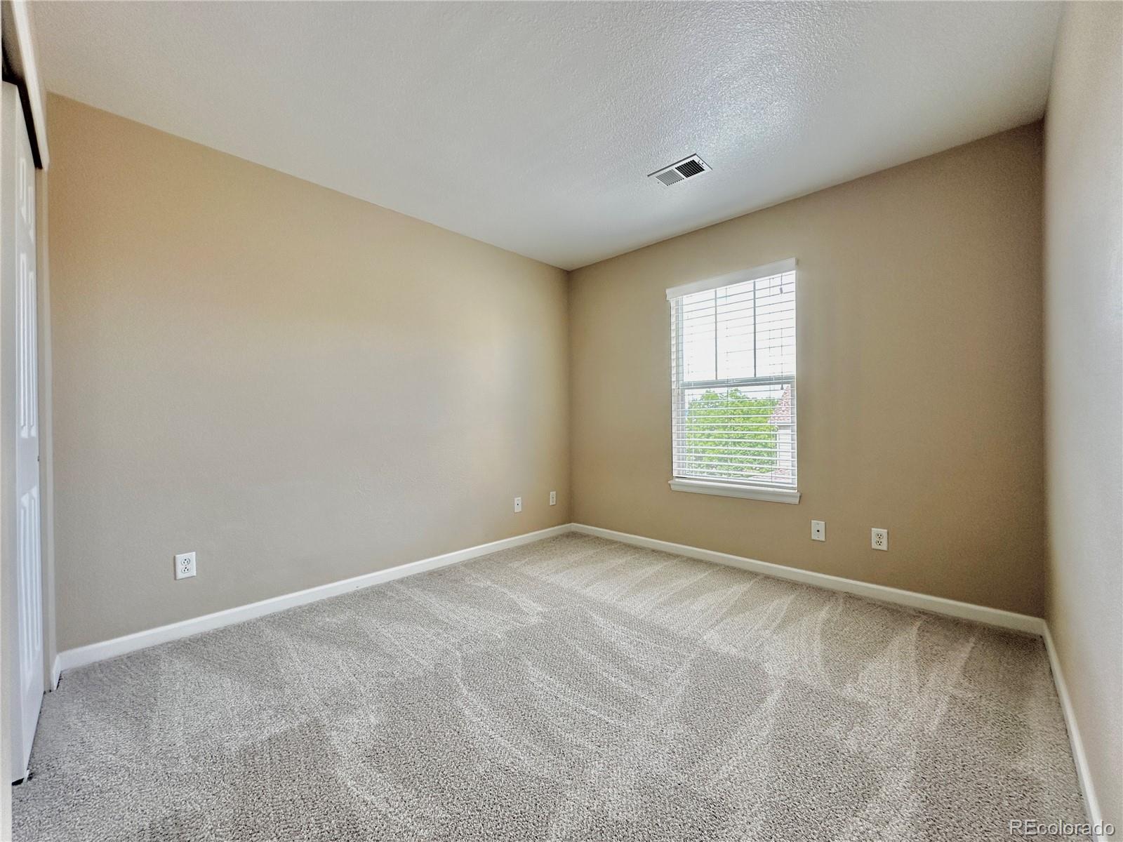 3836 Ute Mountain Trail