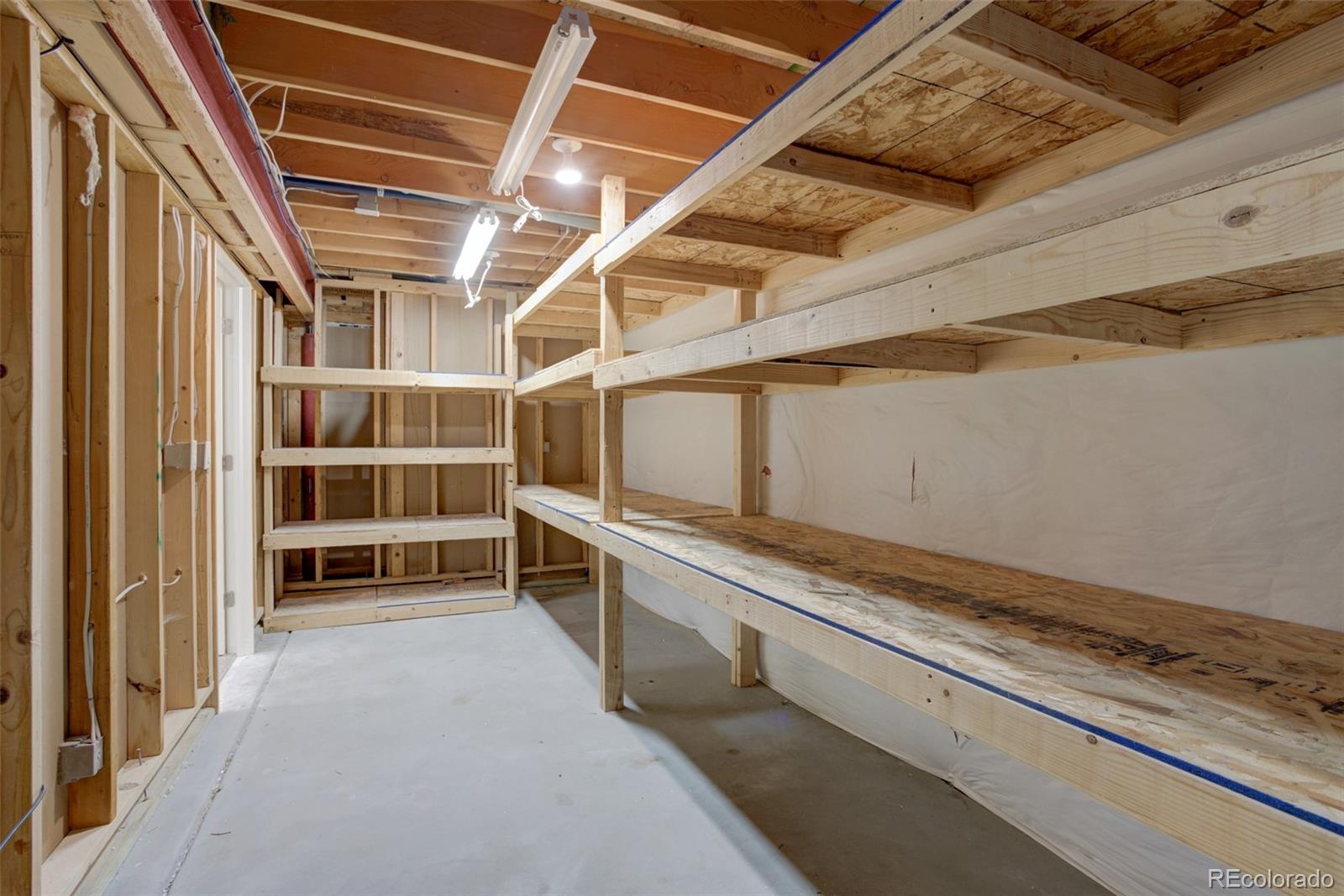 12649 Buckhorn Creek Street