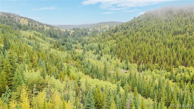 1575 Stewart Gulch Road