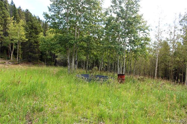 1575 Stewart Gulch Road