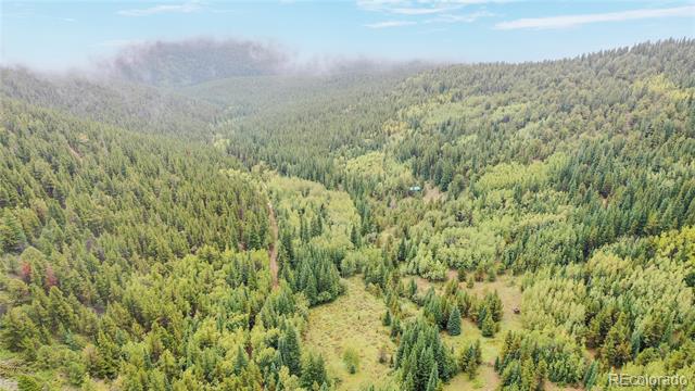 1575 Stewart Gulch Road