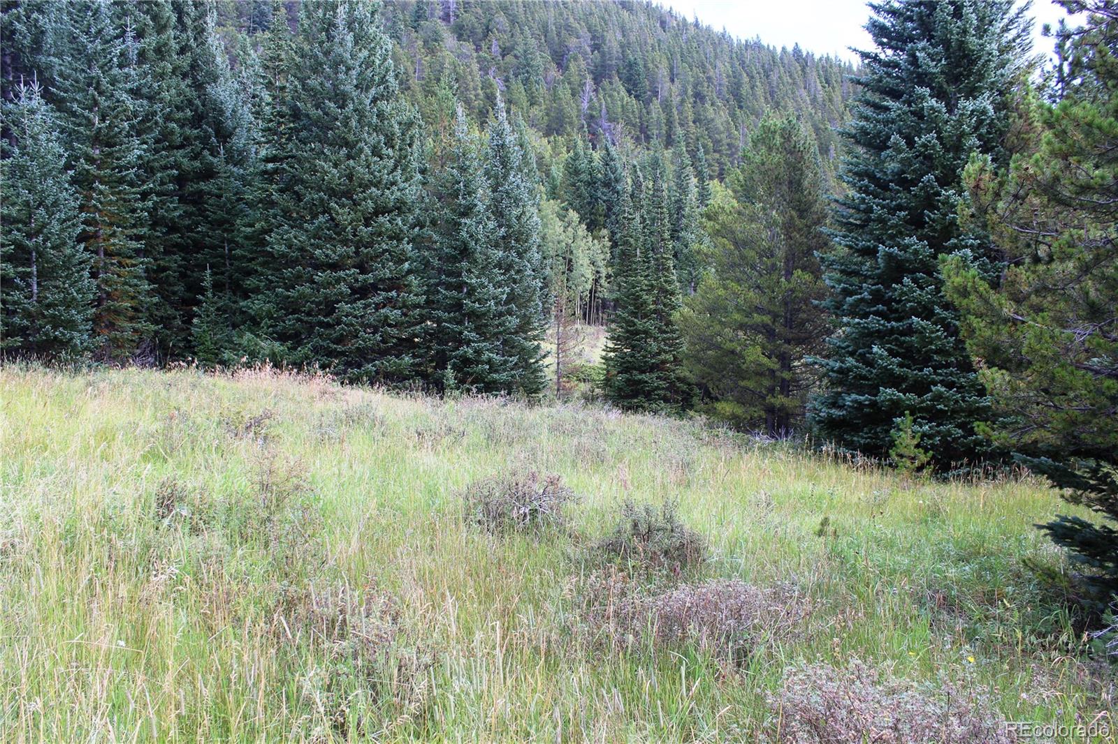 1575 Stewart Gulch Road
