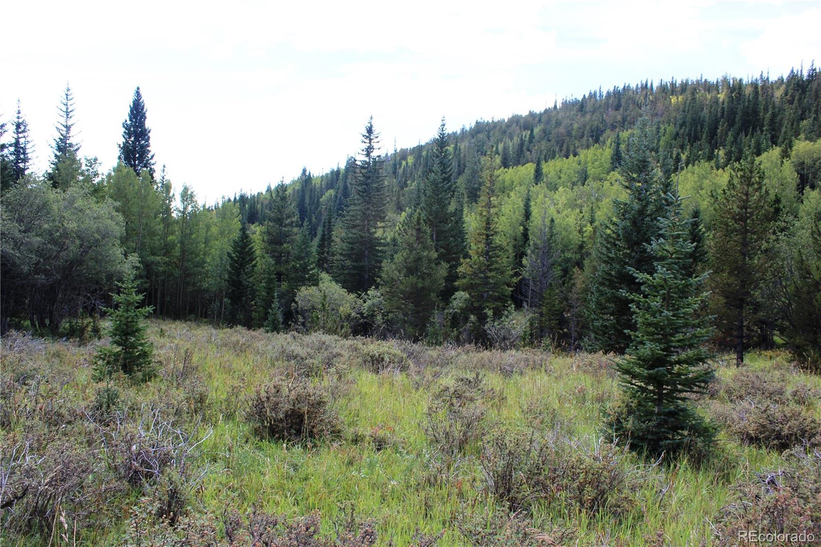 1575 Stewart Gulch Road