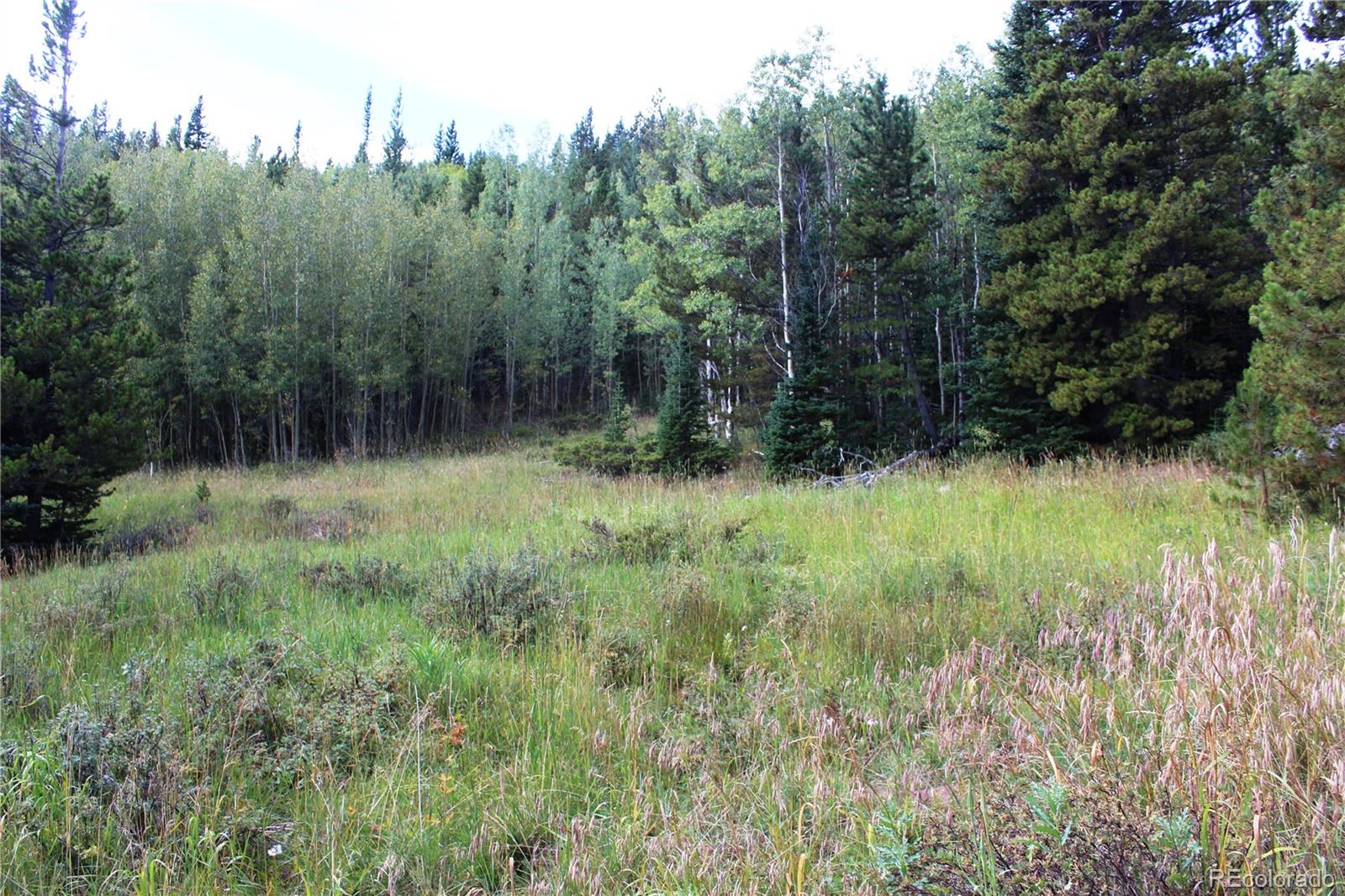 1575 Stewart Gulch Road
