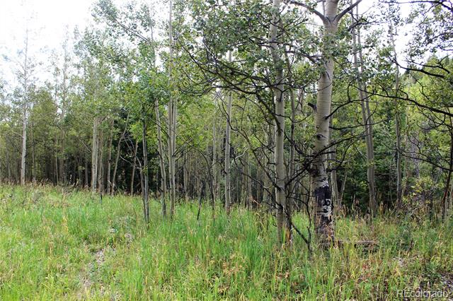 1575 Stewart Gulch Road