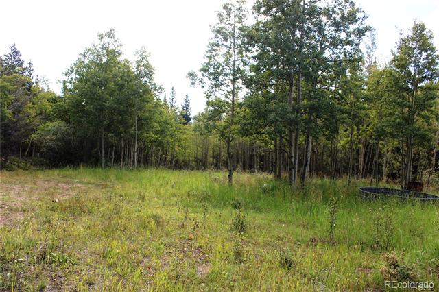 1575 Stewart Gulch Road