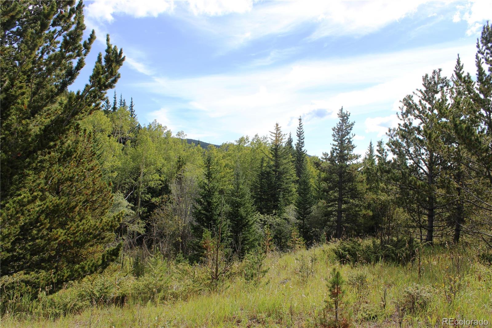 1575 Stewart Gulch Road