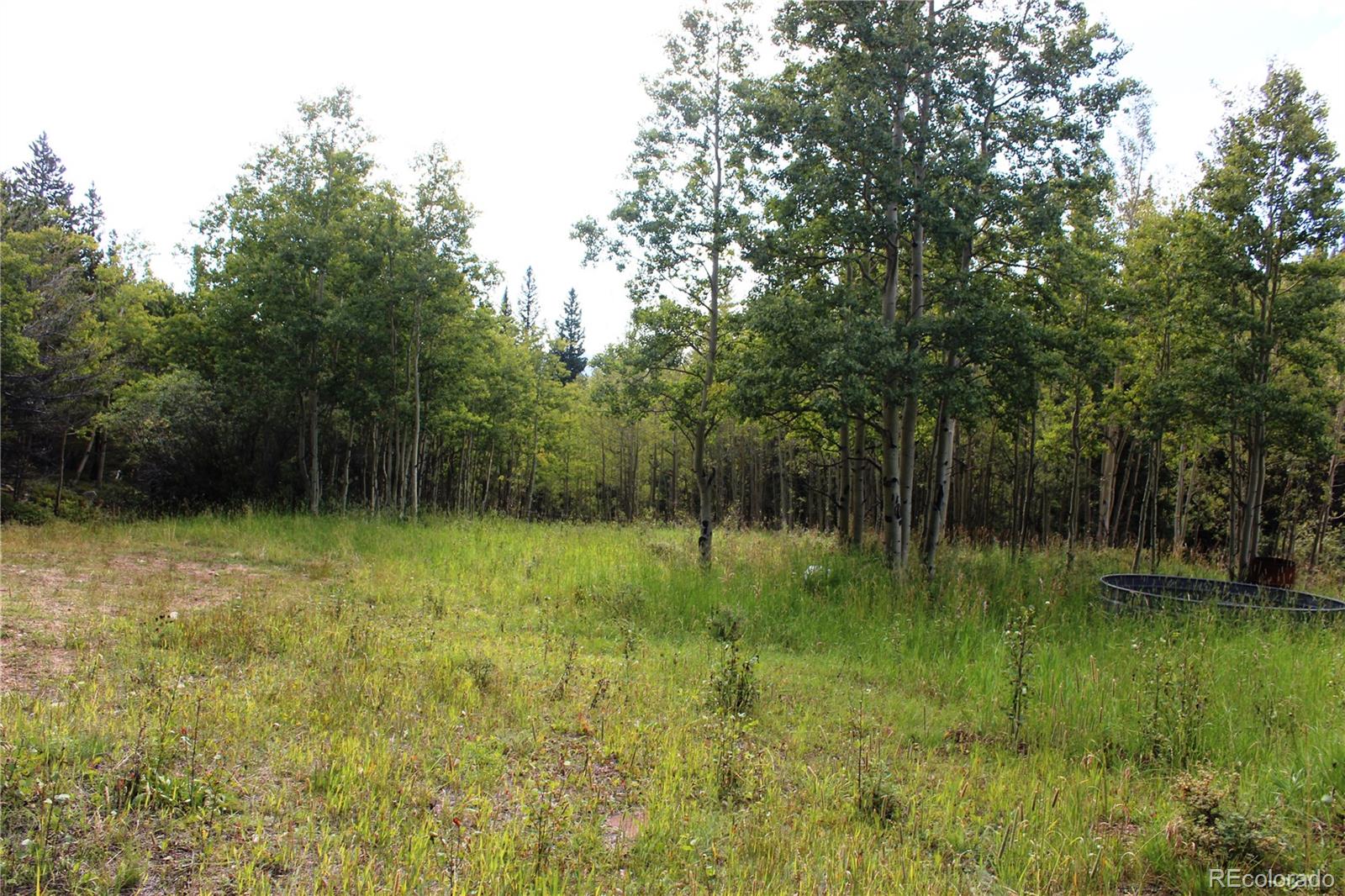1575 Stewart Gulch Road