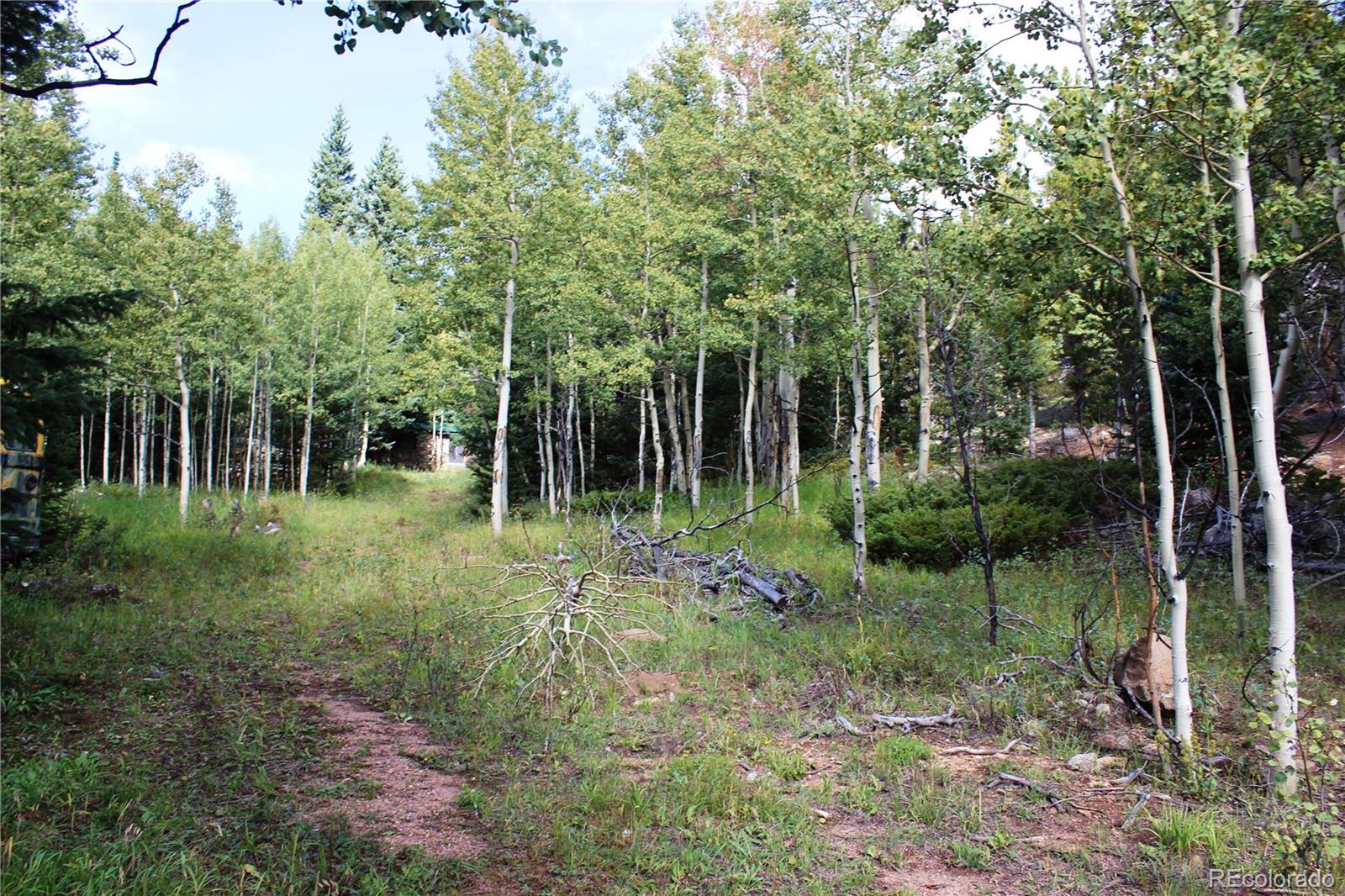 1575 Stewart Gulch Road
