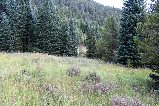 1575 Stewart Gulch Road
