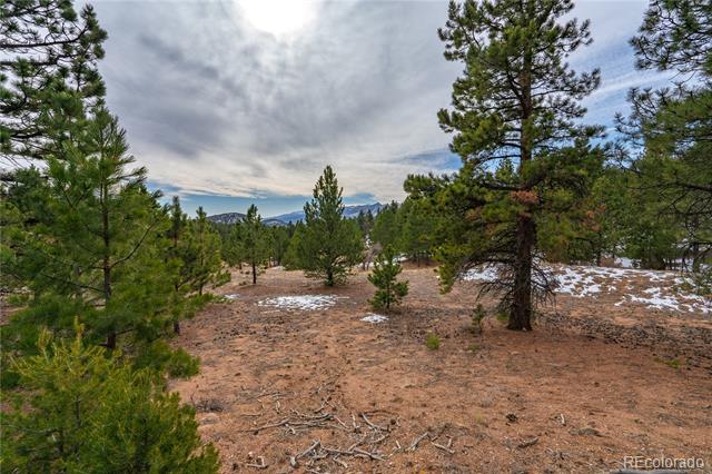 Lot 2 Spruce Mountain Road