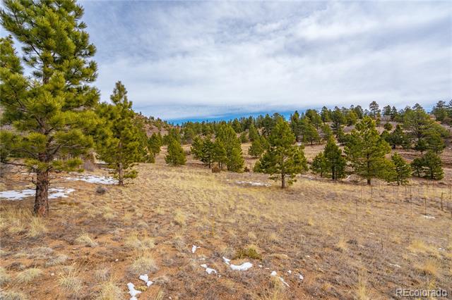 Lot 2 Spruce Mountain Road
