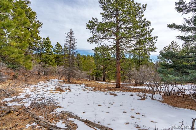 Lot 2 Spruce Mountain Road