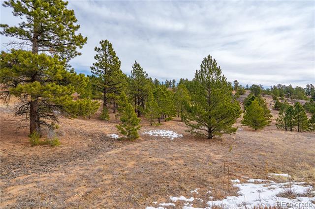 Lot 2 Spruce Mountain Road