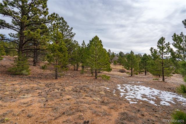 Lot 2 Spruce Mountain Road