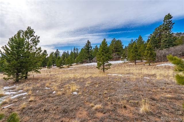 Lot 2 Spruce Mountain Road