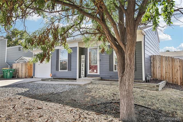 1989 Ceylon Street