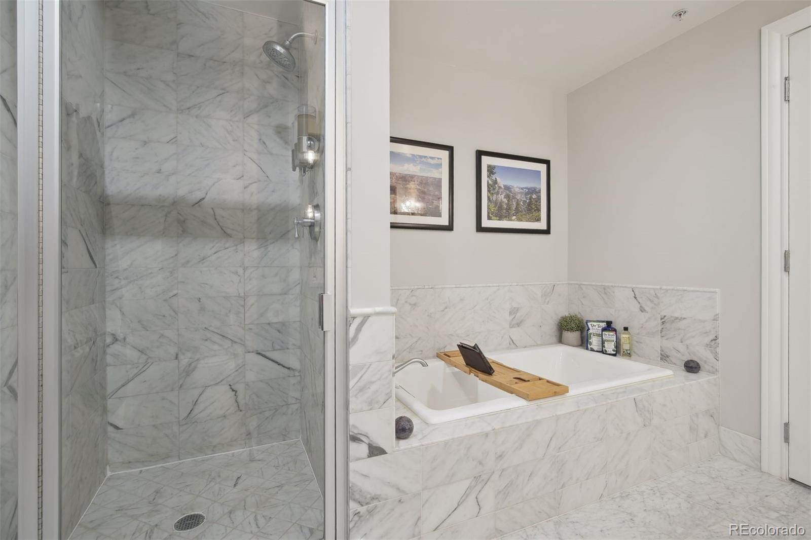 1590 Little Raven Street Unit: 1005