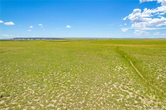 Lot 59 Colorado Land and Livestock