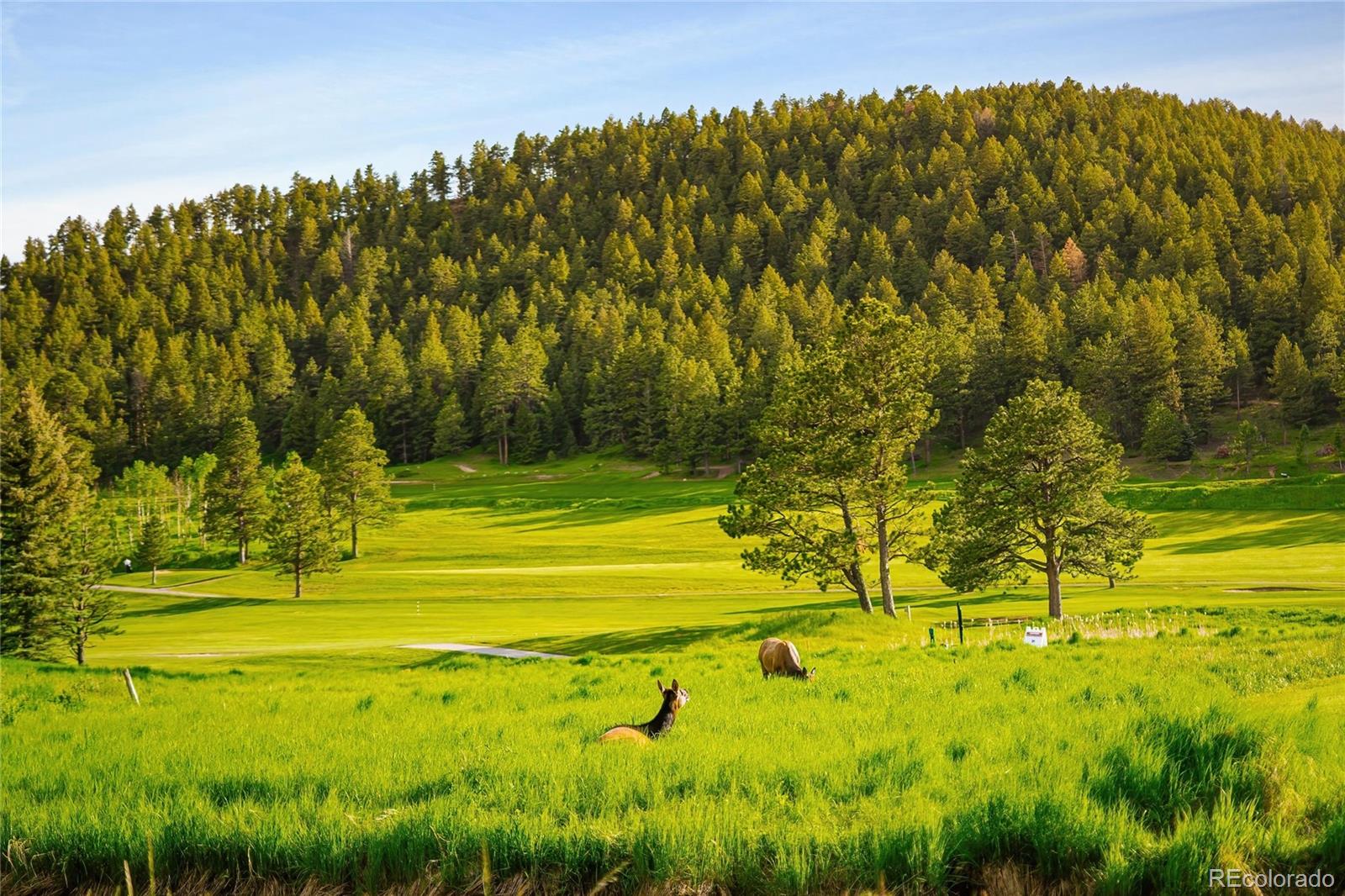 29822 Troutdale Scenic Drive