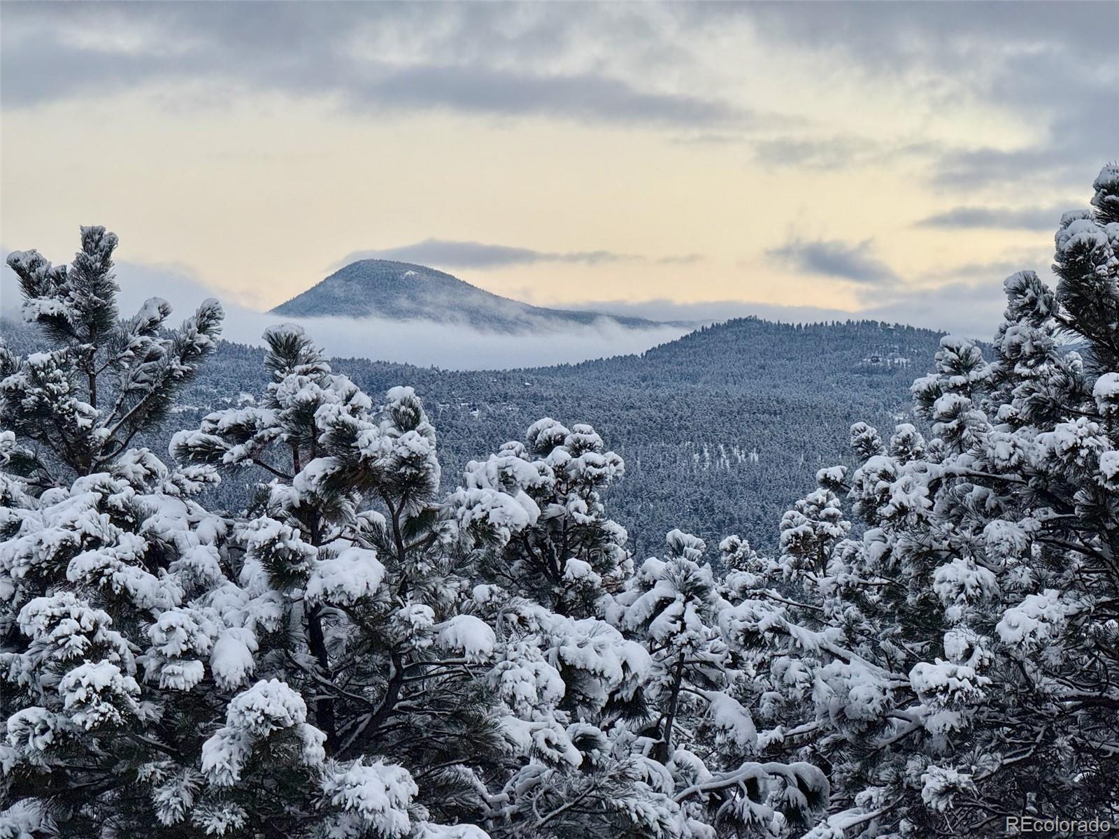 29822 Troutdale Scenic Drive