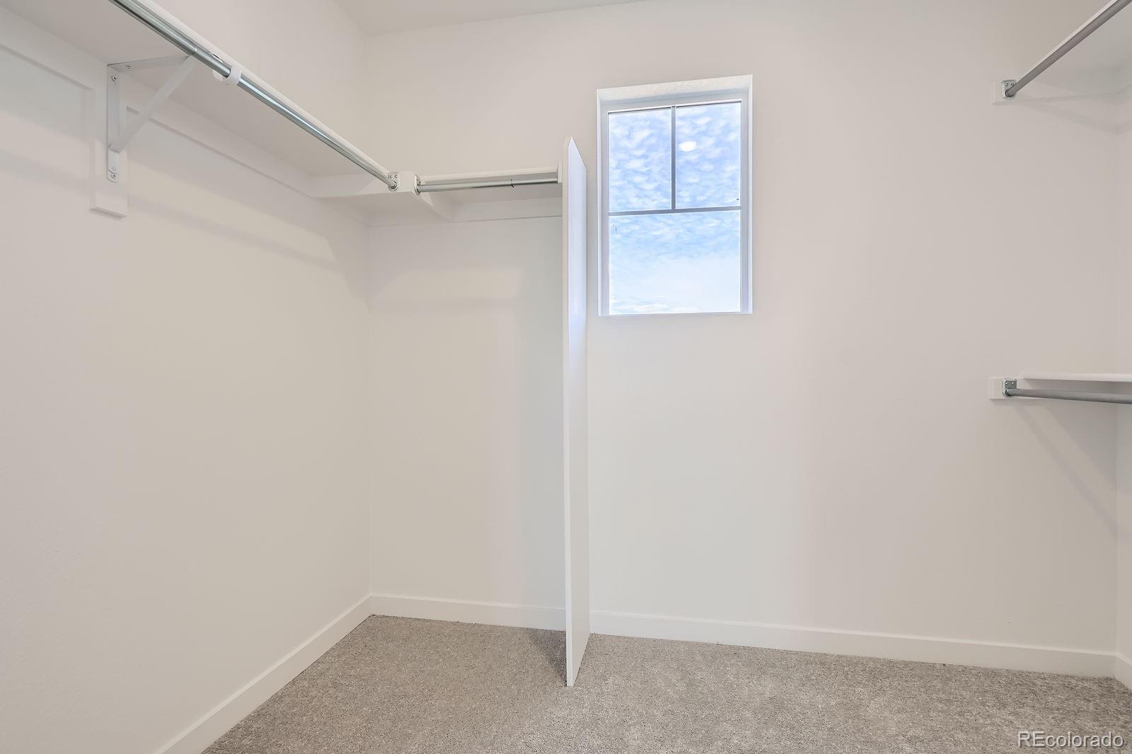 11000 Snowdon Street