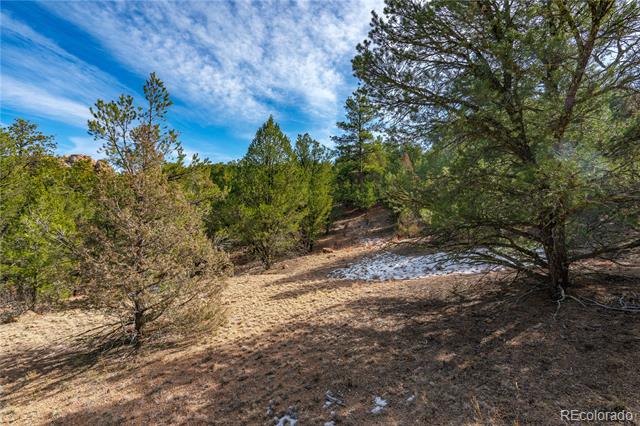 Lot 10 Prairie Dog Road